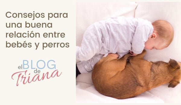 Consejos para una buena relación entre bebés y perros - Cestas y canastillas para bebes | Mababyshop